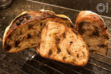 Load image into Gallery viewer, Chocolate Chip Sourdough