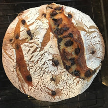 Load image into Gallery viewer, Chocolate Chip Sourdough